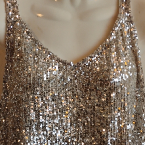 Daytrip Silver Sequin Tank Top - Picture 5 of 15